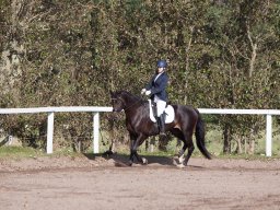 IMG_7802_web